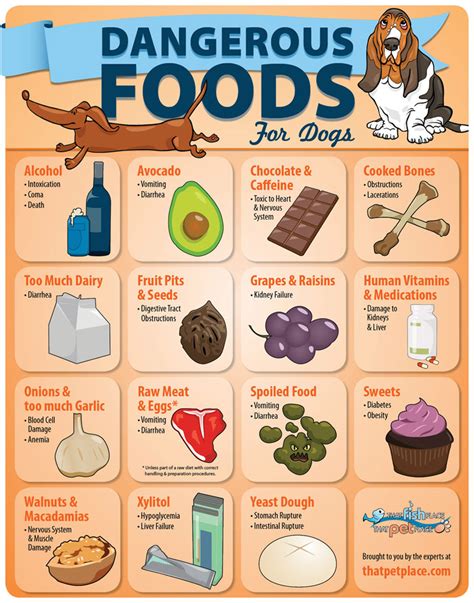Dangerous Foods For Dogs Infographic