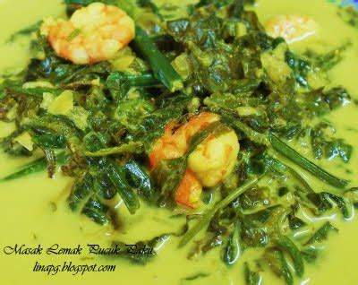 4 ramadan 1440 cara sis sediakan pucuk ubi kayu sebelum masak menu yang gunakan pucuk ubi kayu. Pelbagai pilihan resepi: Resepi masak lemak pucuk ubi
