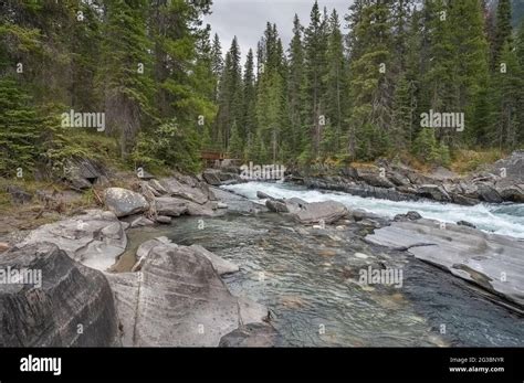 Vermilion River At Numa Falls In Kootenay National Park British