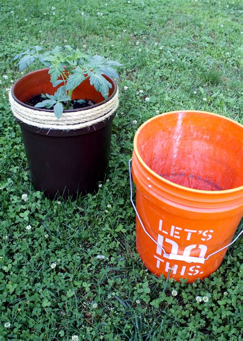 How To Make A Planter From A 5 Gallon Bucket — Tag And Tibby