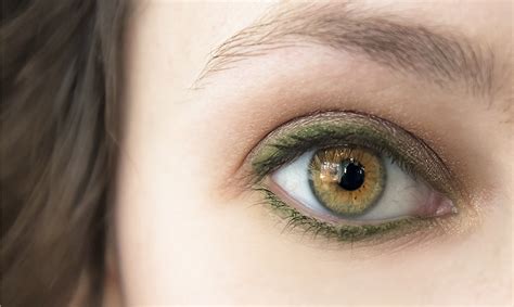 El Iris Humano No Tiene Pigmento Azul Ni Verde ¿cómo Se Explica