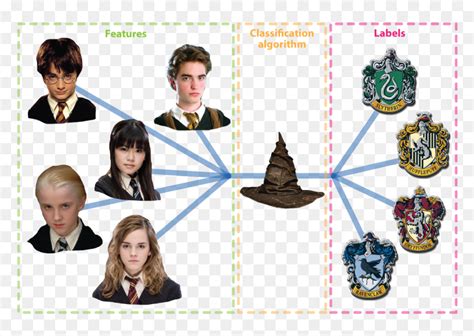 Classification Harry Potter Hd Png Download Vhv