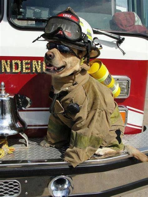 Not Found Firefighter Firefighter Humor Volunteer Firefighter