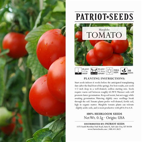 Heirloom Marglobe Tomato Seeds 5g Patriot Seeds