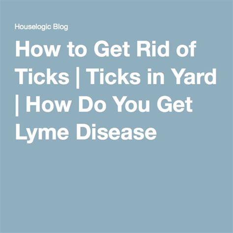 How To Get Rid Of Ticks Get Rid Of Ticks How To Get Rid Ticks