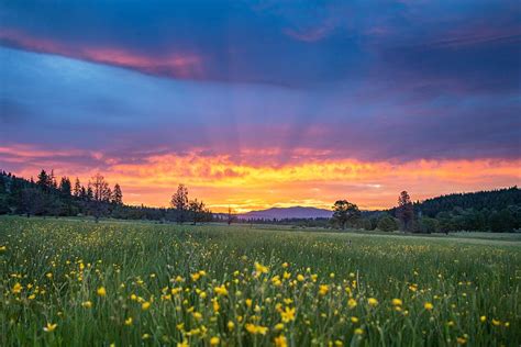 Spring Sunrise Photograph By Randy Robbins Fine Art America