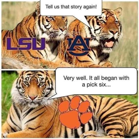 Pin By Kimberly Dean On My Tigers Football Clemson Fans Clemson