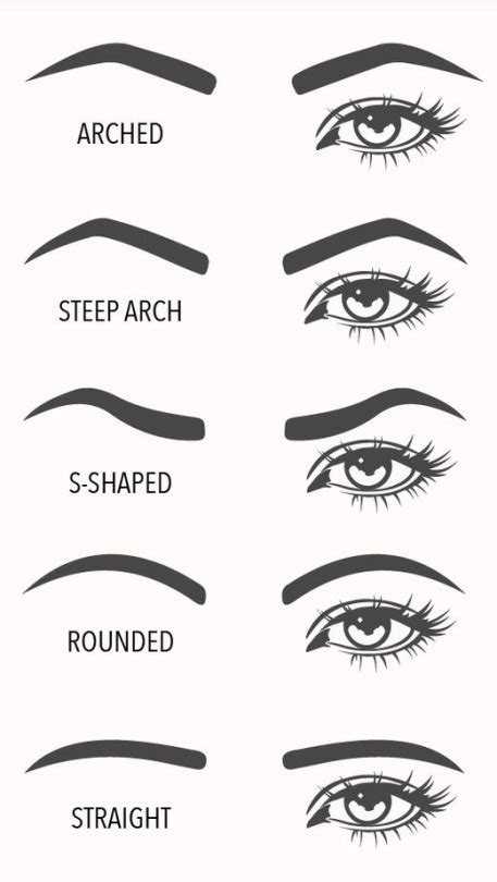A Visual Guide To Eyebrow Shapes