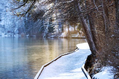 Lake Bled In Winter Bled Slovenia Europe Stock Image Image Of