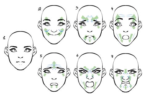 Artstation Facial Anatomy For Stylized And Realistic Style Tutorials