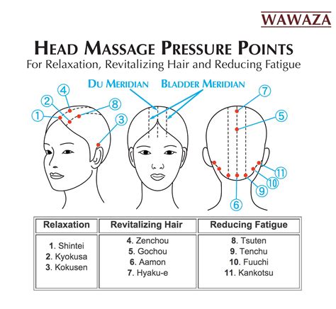 Japanese Five Row Tsuge Wood Brush Massage Pressure Points Massage Therapy Techniques