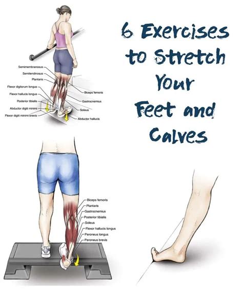6 Exercises To Stretch Your Feet And Calves The Health Science Journal