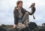 In the Frame Film Reviews: Kes: Another triumph for Criterion