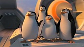 LOS PINGÜINOS DE MADAGASCAR - Trailer Oficial Español Latino HD - YouTube