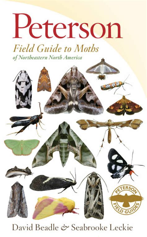 Favorite Field Guides From A Real Field Guide Freak A