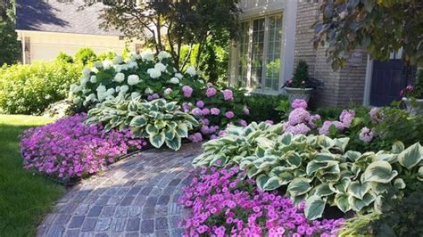 Captivating Hydrangea Flower Beds That Will Beautify Your