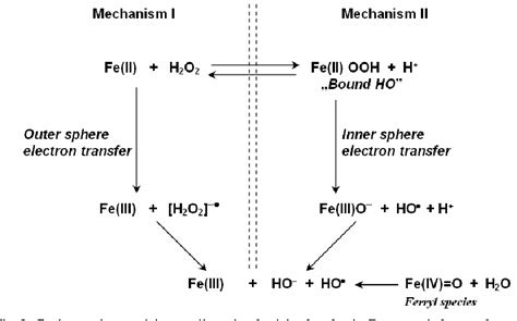 Kontaminiert Unzählige Futter Fenton Mechanism Sünder Ziel Linse