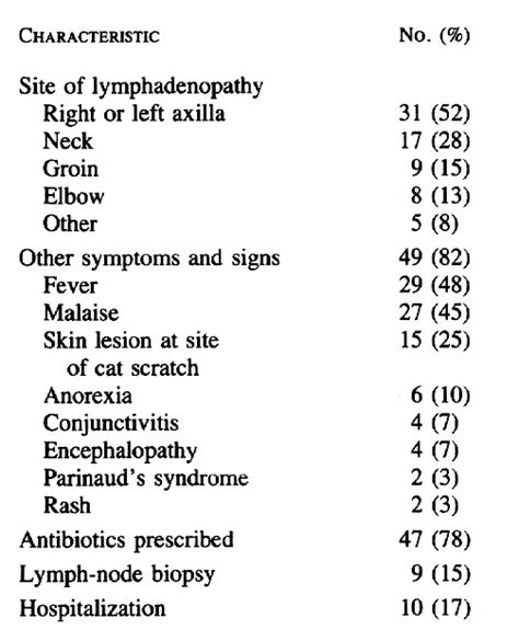 Antibiotics For Cat Scratch Diseasesave Up To 17