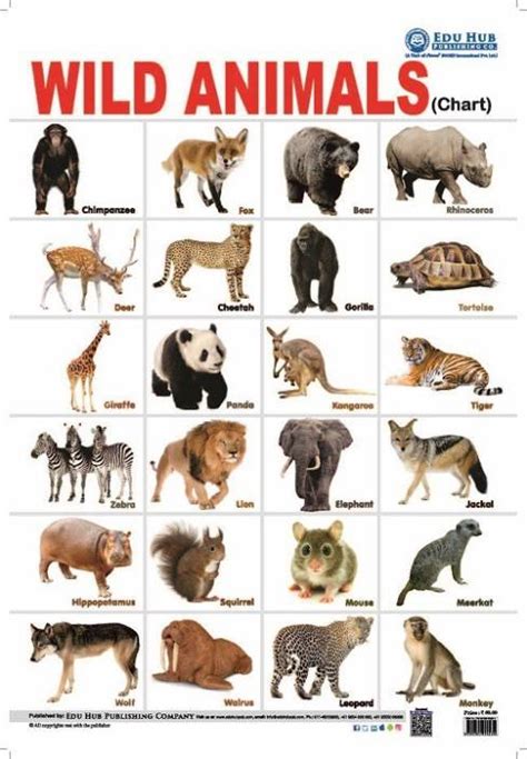 Pet Animals And Wild Animals Chart Pets Gallery