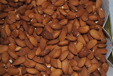 Almonds Free Stock Photo Public Domain Pictures