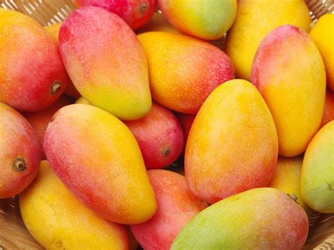Four Delicious Mango Recipes To Try This Summer