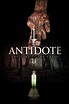 Antidote (película 2014) - Tráiler. resumen, reparto y dónde ver ...