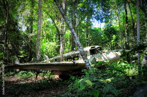 Crashed Plane In Jungle Amazon Rain Forest In Suriname Stock Photo