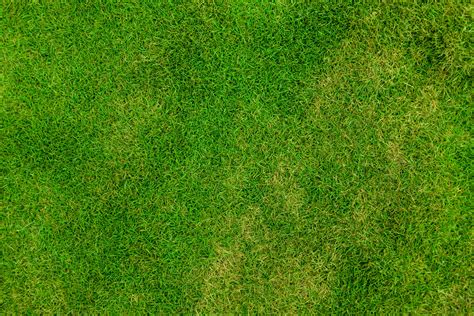 Kostenlose Foto Gras Draussen Abstrakt Pflanze Sport Feld Rasen
