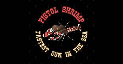 Pistol Shrimp Fastest Gun Western Style2 Shrimp Posters And Art