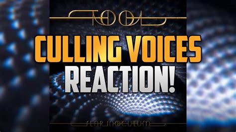 7 Tool Culling Voices First Reaction Youtube