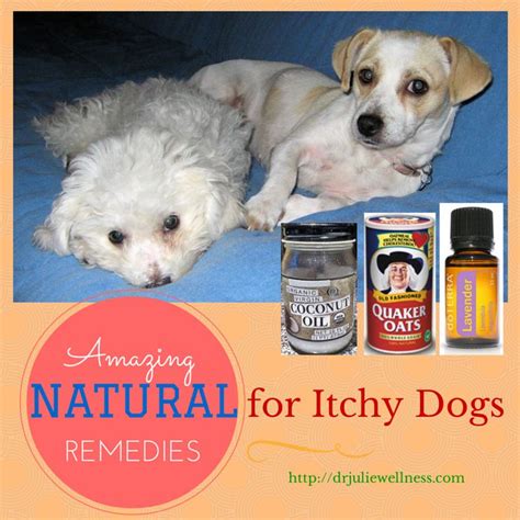 There are various causes behind itchy skin, such as allergic reactions to foods or cosmetics the most common reason for itching is food allergy; Pin by DIY Health Ready on Natural Health Remedies for ...