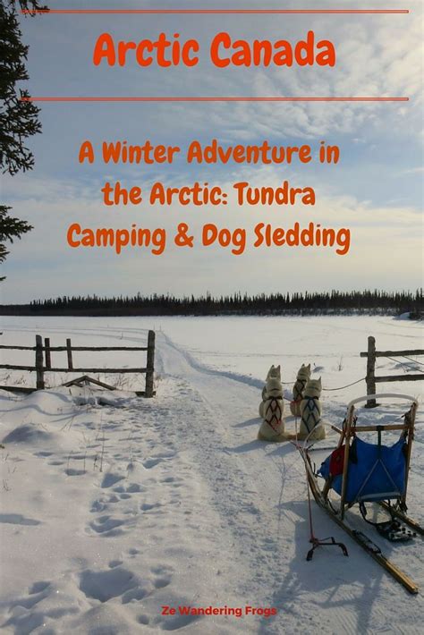 A Winter Adventure In The Arctic Tundra Camping And Dog Sledding Ze