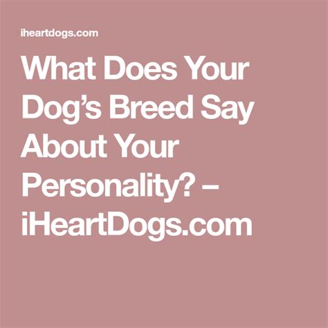 What Does Your Dog's Breed Say About Your Personality? | Personality, Dog personality ...