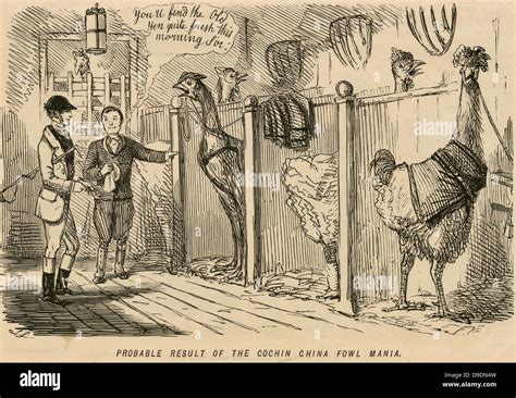 dibujos animados de punch londres 1853 se burlan de la manía de la nueva gran cochin