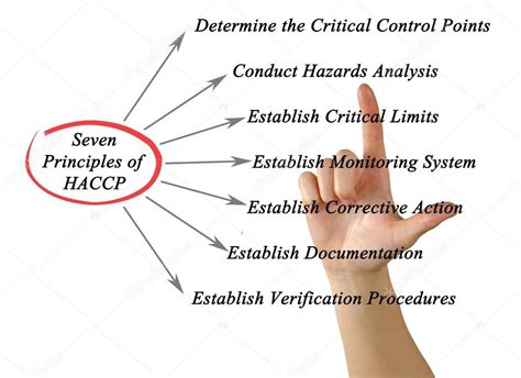 Diagram Of Principles Of Haccp — Stock Photo © Vaeenma 95206262