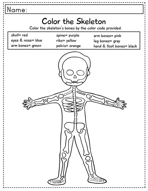 Printable Skeletal System Coloring Pages