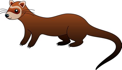 Collection Of Weasel Png Hd Pluspng