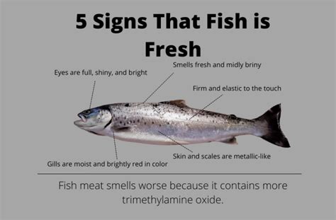 These 5 Signs Will Tell You If Fish Is Fresh The Food Untold