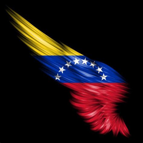 Pin On Bandera De Venezuela