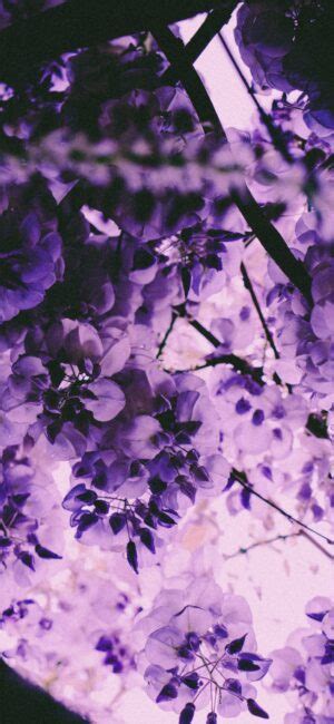 90 Wallpaper Cute Aesthetic Purple Picture Myweb