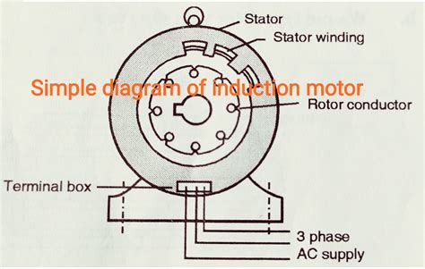 Construction Of Phase Induction Motor