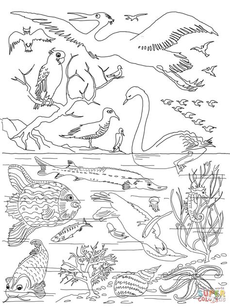 God Created Animals Coloring Page Hd Football