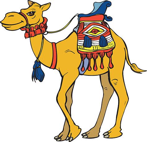 Best Camel Cartoon Illustrations Royalty Free Vector Graphics And Clip