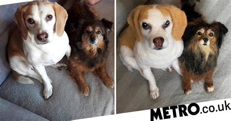 Artist Creates Incredible Felt Replicas Of Peoples Dead Dogs Metro News