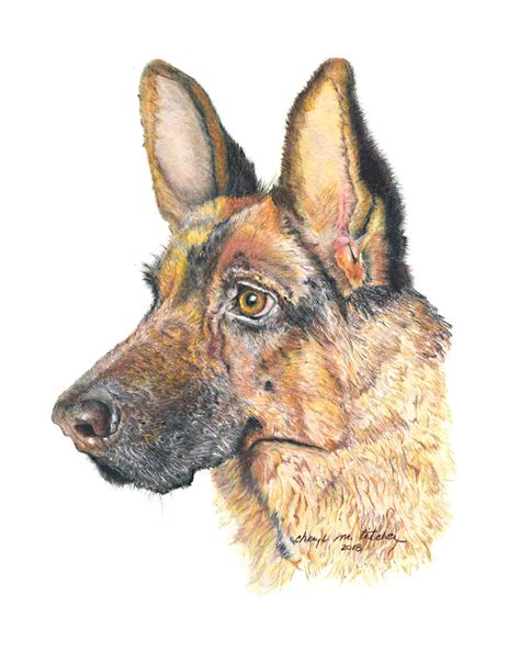 German Shepherd Color Pencil Print Pet Lovers T Dog Etsy