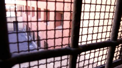 Select from a wide range of models, decals, meshes, plugins, or audio that help bring your. Nel Regno Unito i detenuti avranno diritto al telefono in ...