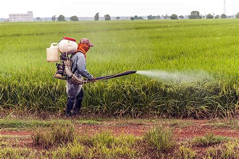 Top Pesticide Using Countries