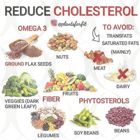 Prodigious Useful Ideas Reduce Cholesterol Fast Cholesterol Lowering