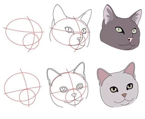 Como Dibujar Un Gato Facil Y Realista Paso A Paso Tutorial