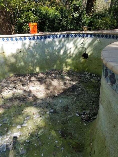 Filling In A Swimming Pool In South Austin Austin Demolition Services